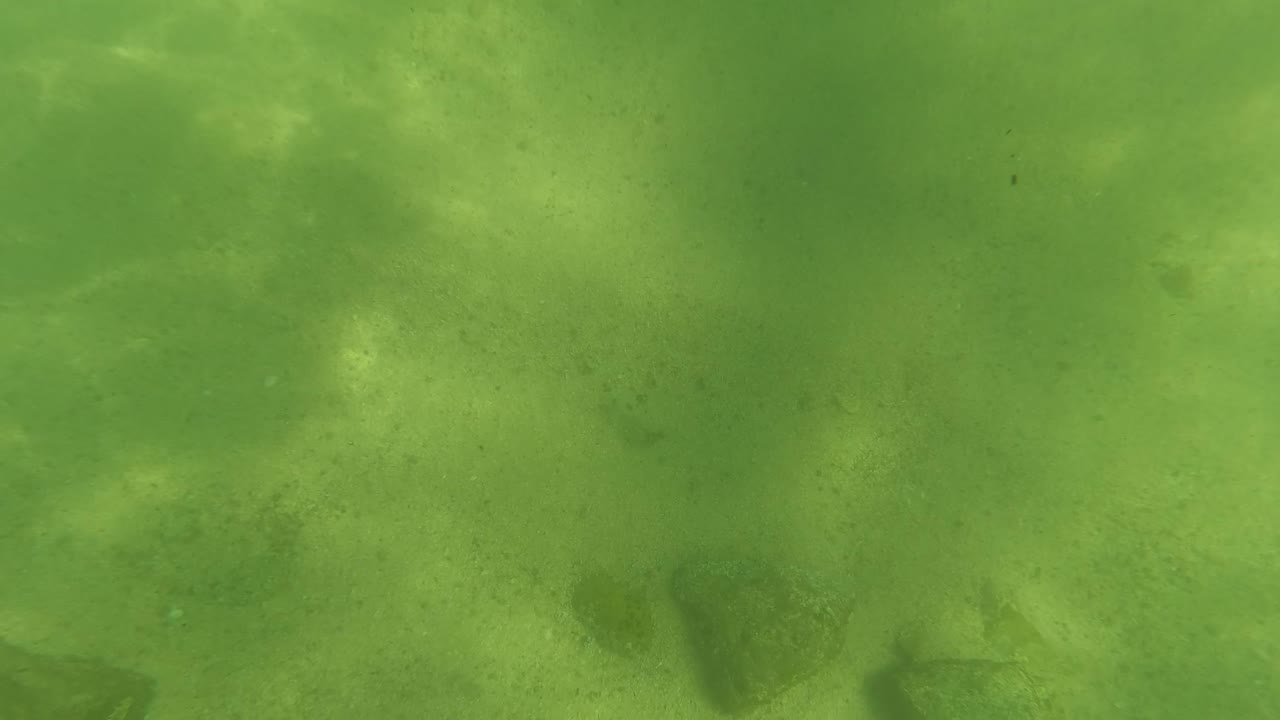 Green underwater view of a sandy seabed with scattered dark rocks in San Jose del Cabo, Mexico, with no visible people.
