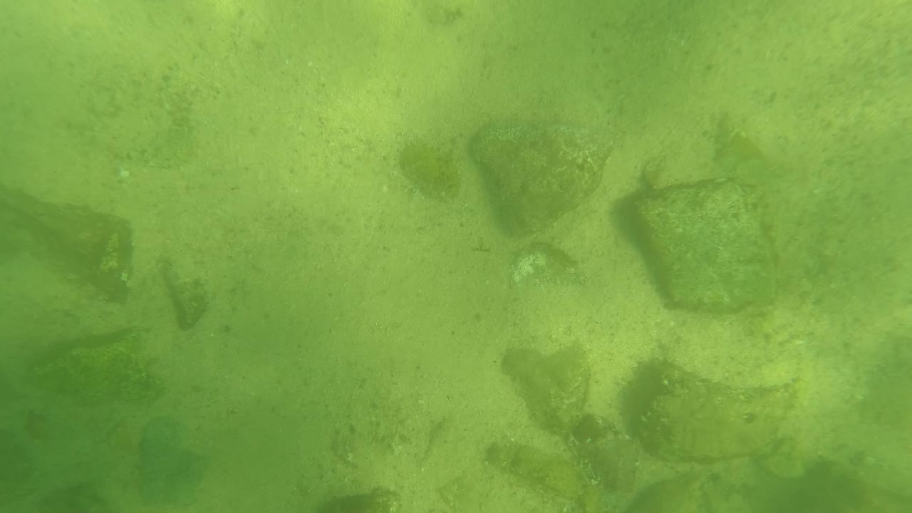 Pale sand and dark underwater rocks sit beneath green-tinted water in San Jose del Cabo, Mexico, with no visible people.