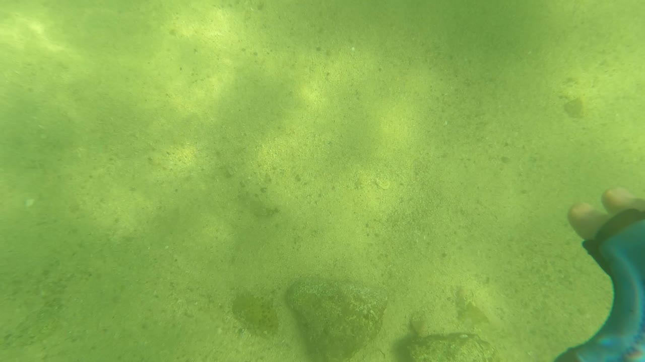 A blue swimmer's fin enters along the right edge over a sandy, rocky seabed in San Jose del Cabo, Mexico, with no visible face or full person.