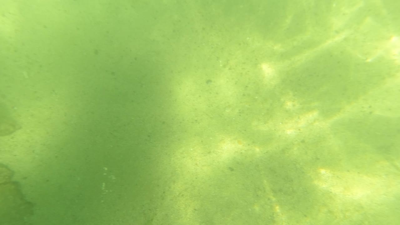 Sandy seabed under green water with rippled sunlight.