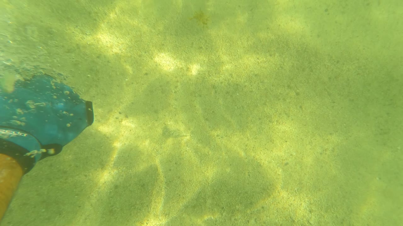 A partial swimmer arm and blue gear enter the upper right over the sandy seabed in San Jose Del Cabo, with no face visible.