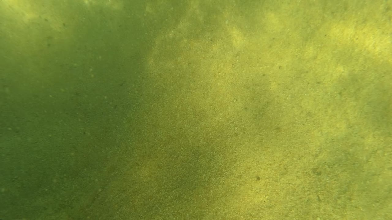 Underwater view in San Jose Del Cabo with green shallow water, hazy sandy bottom, and no visible people in the first moment of the clip.
