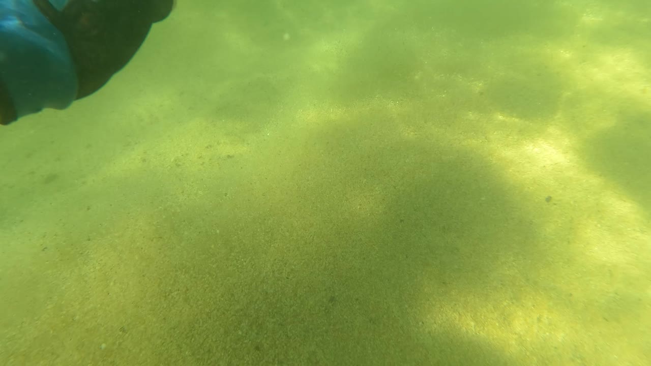 Underwater sandy bottom with a dark swimmer edge entering from the top.