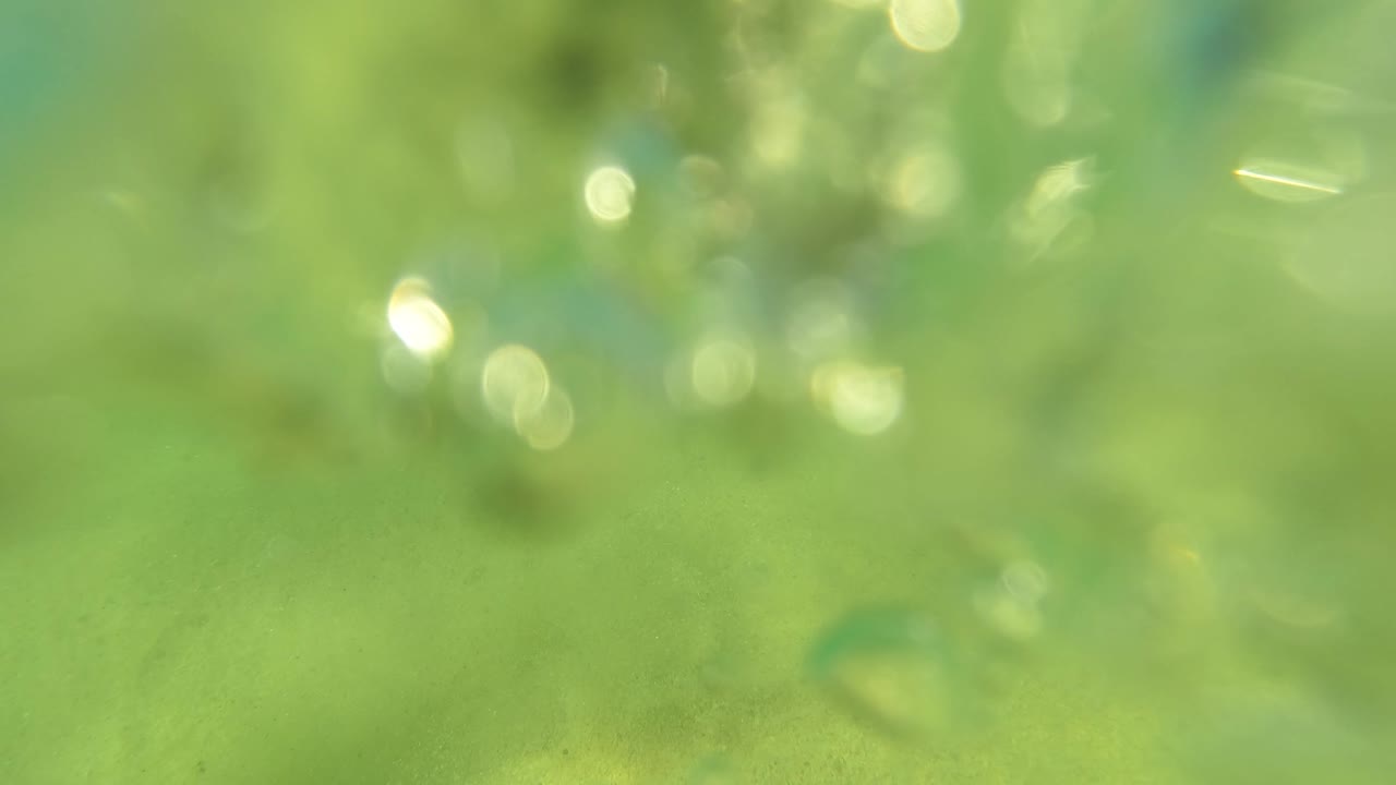 Close underwater moment in San Jose Del Cabo with bubbles and surface disturbance filling the green frame, with no clearly visible person.