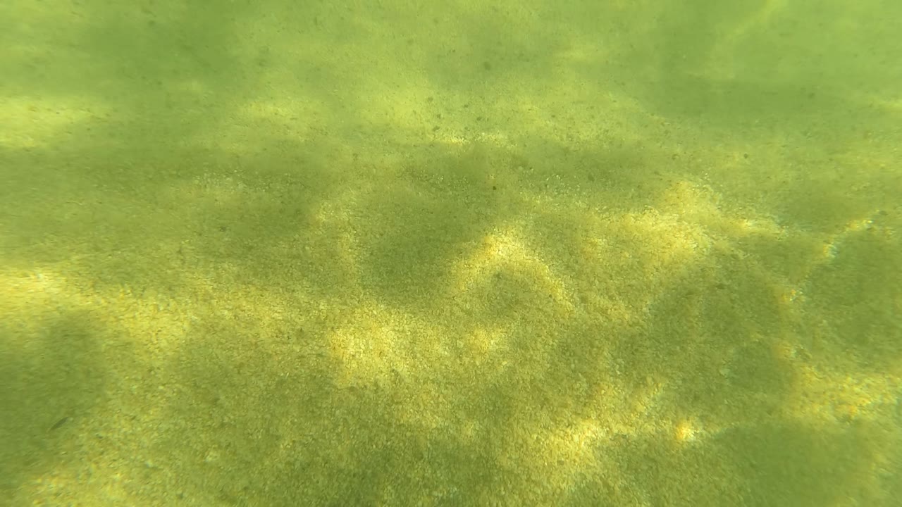 Sandy seabed underwater in San Jose Del Cabo with green-yellow water tint, soft dappled light, and no visible people in the opening frame.
