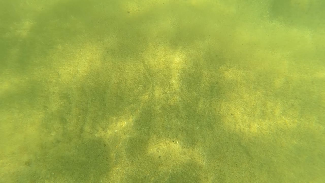 Underwater sand and rock-stained patches beneath wavering light.
