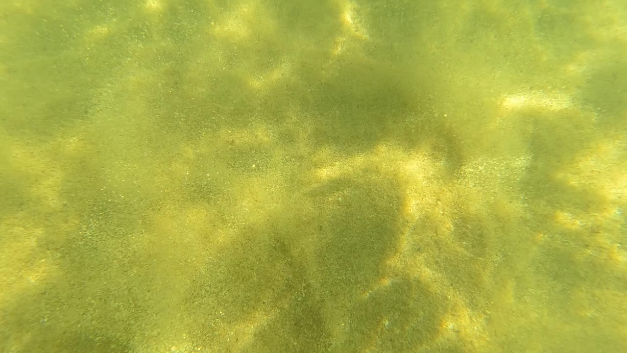Green-tinted sandy seabed in San Jose Del Cabo with brighter bands of refracted sunlight and no visible people in the frame.