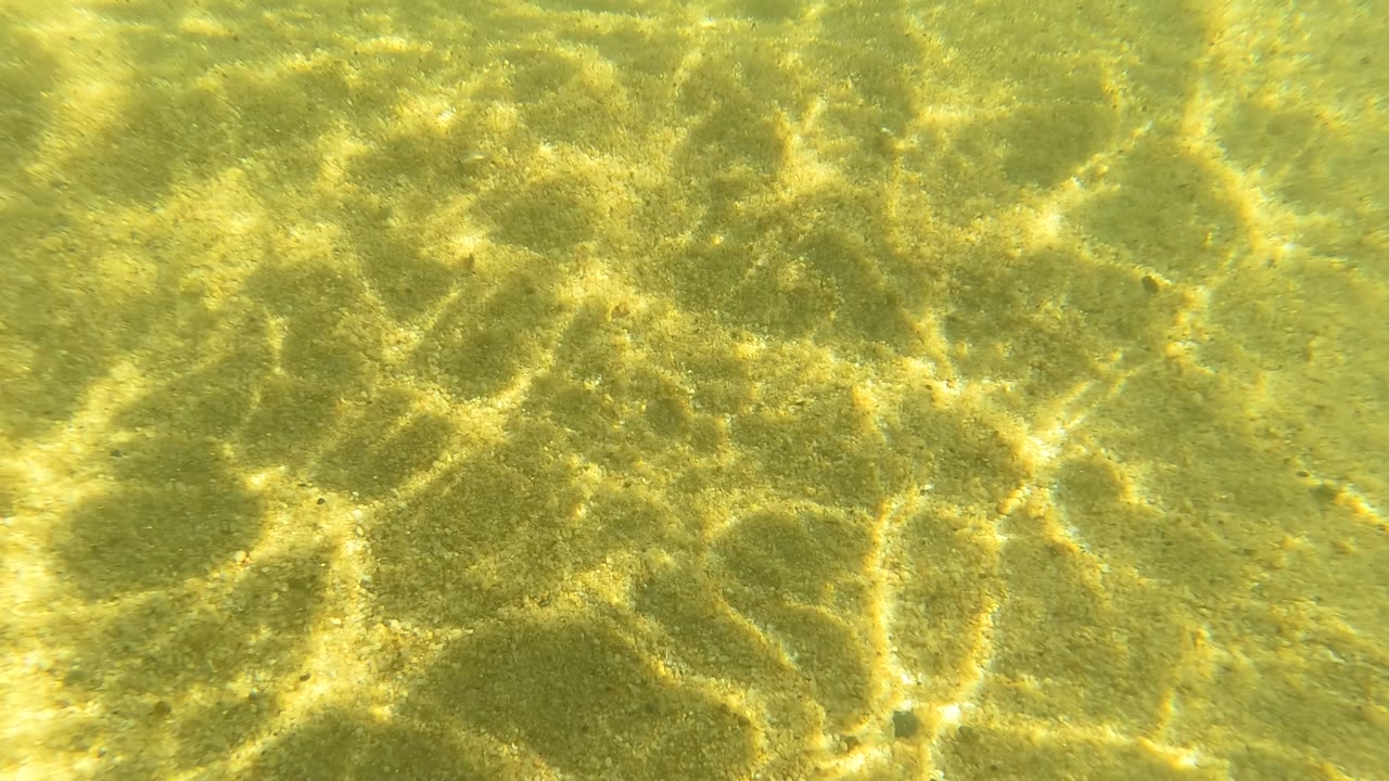 Sunlit sandy bottom under clear shallow green water in San Jose Del Cabo, Mexico, with rippled light patterns and no visible people.