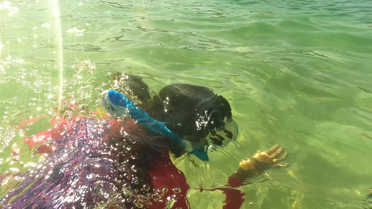 A child in a red swimsuit with a blue snorkel swims near the surface in San Jose Del Cabo, Mexico, with green water and sunlight ripples around them.