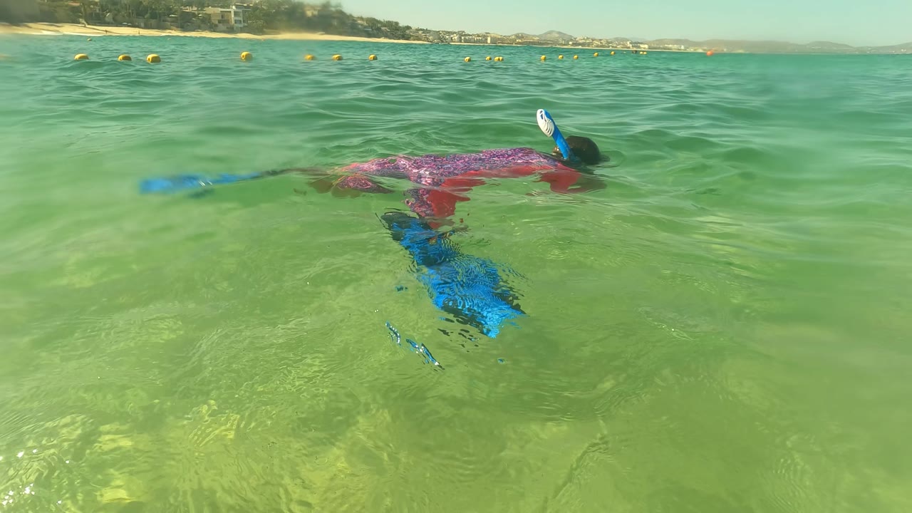 A snorkeler in a pink top and blue fins floats near the surface in clear shallow water in San Jose Del Cabo, with yellow buoys and distant shoreline in the background.