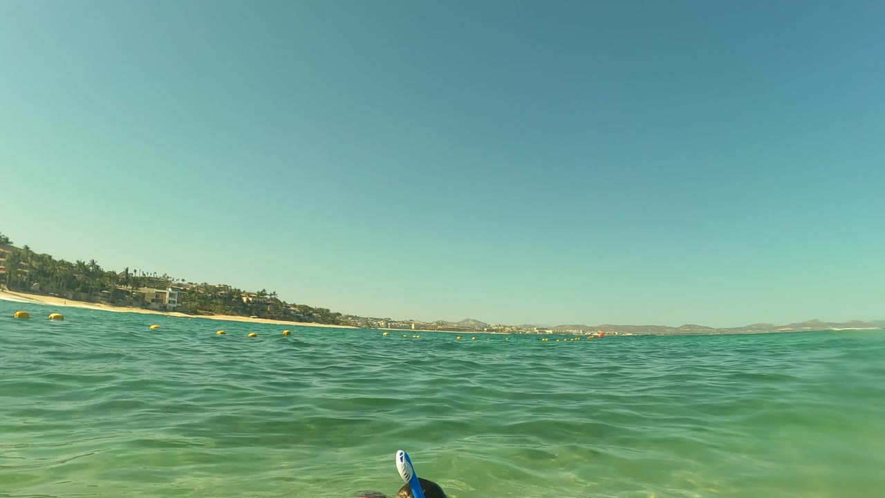 The snorkeler first appears at the lower right in San Jose Del Cabo water, with blue fins and snorkel visible against shallow green ocean and a beach behind.