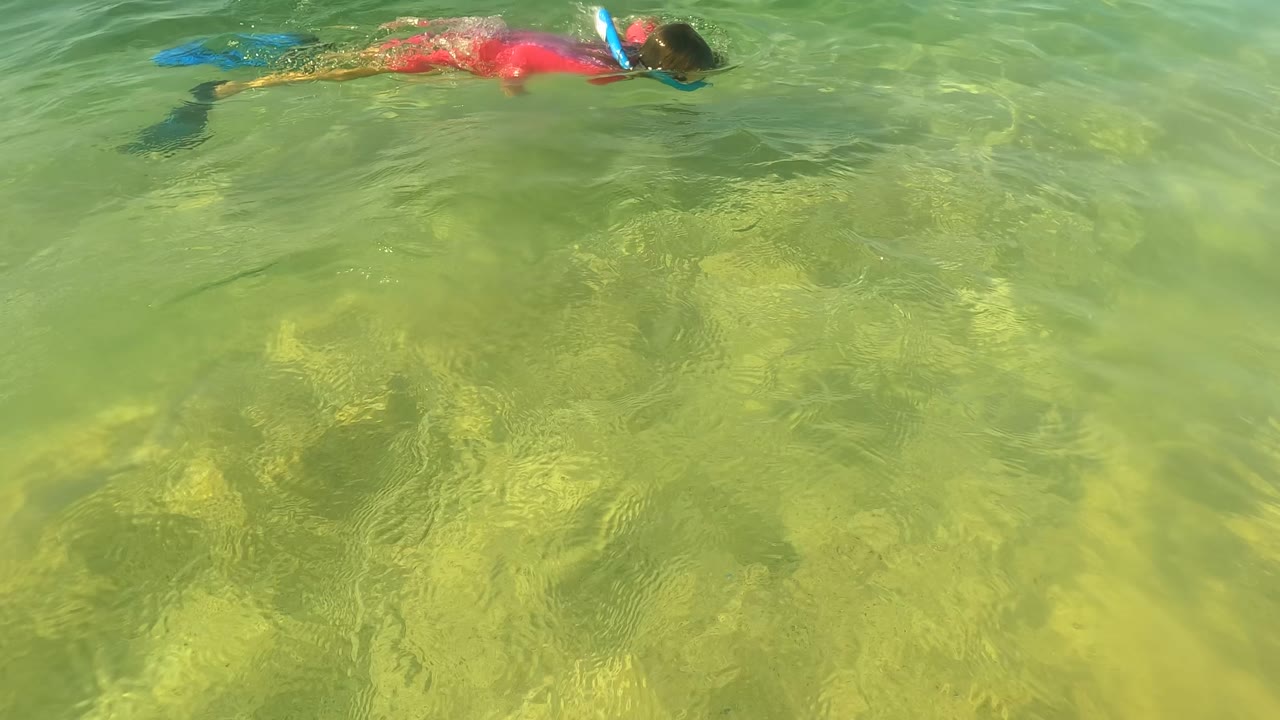 A swimmer in a red swimsuit and blue flippers glides through clear shallow water in San Jose Del Cabo, Baja California Sur, Mexico, with sand visible below.