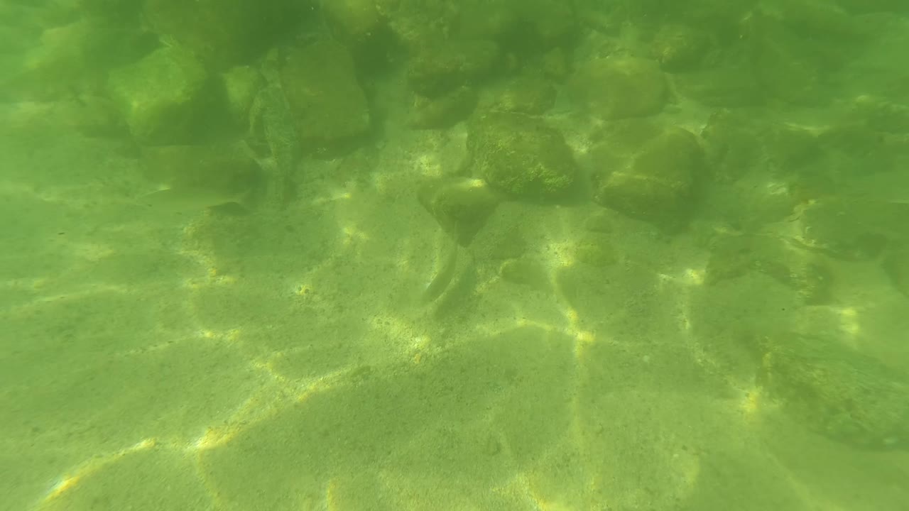 Underwater view in San Jose Del Cabo, Baja California Sur showing green clear water over rounded rocks and sand, with no visible people.