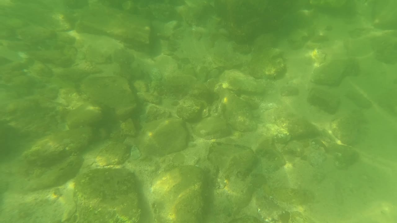 Green underwater frame from San Jose Del Cabo with clustered rocks near the upper area and pale sand below, with no visible people.