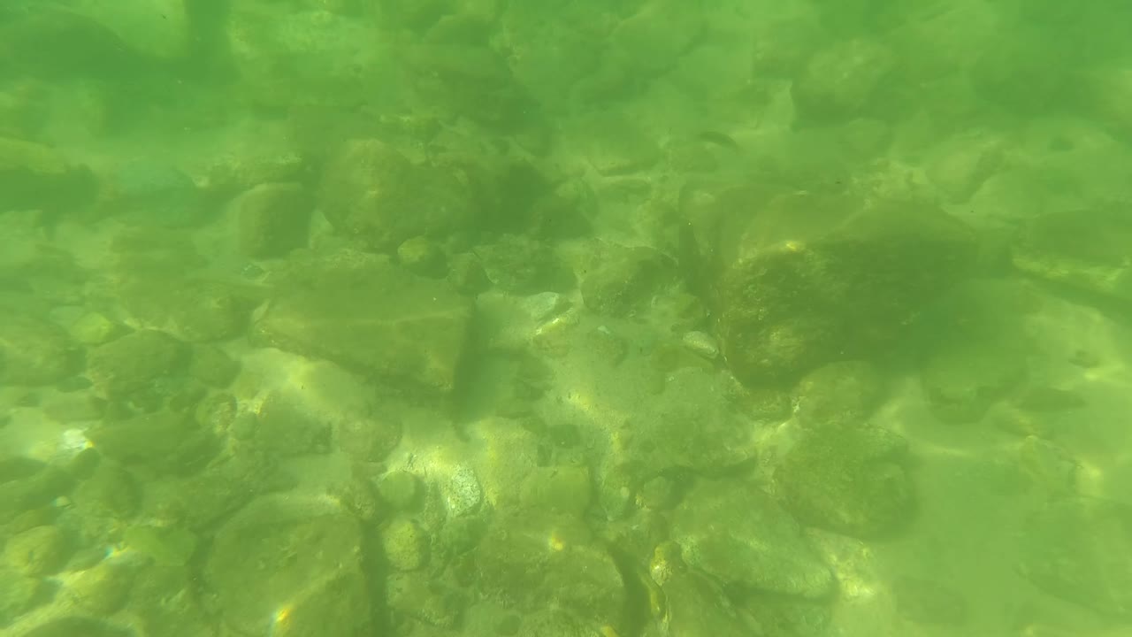 Underwater San Jose Del Cabo riverbed detail with uneven stones across the frame and shifting bright patches on the bottom, with no visible people.