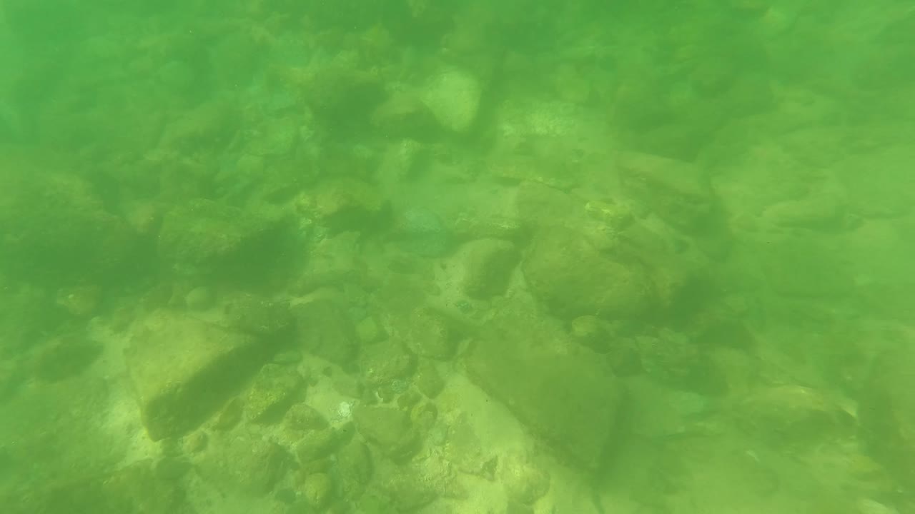 Shallow underwater bed with rocks and green tint