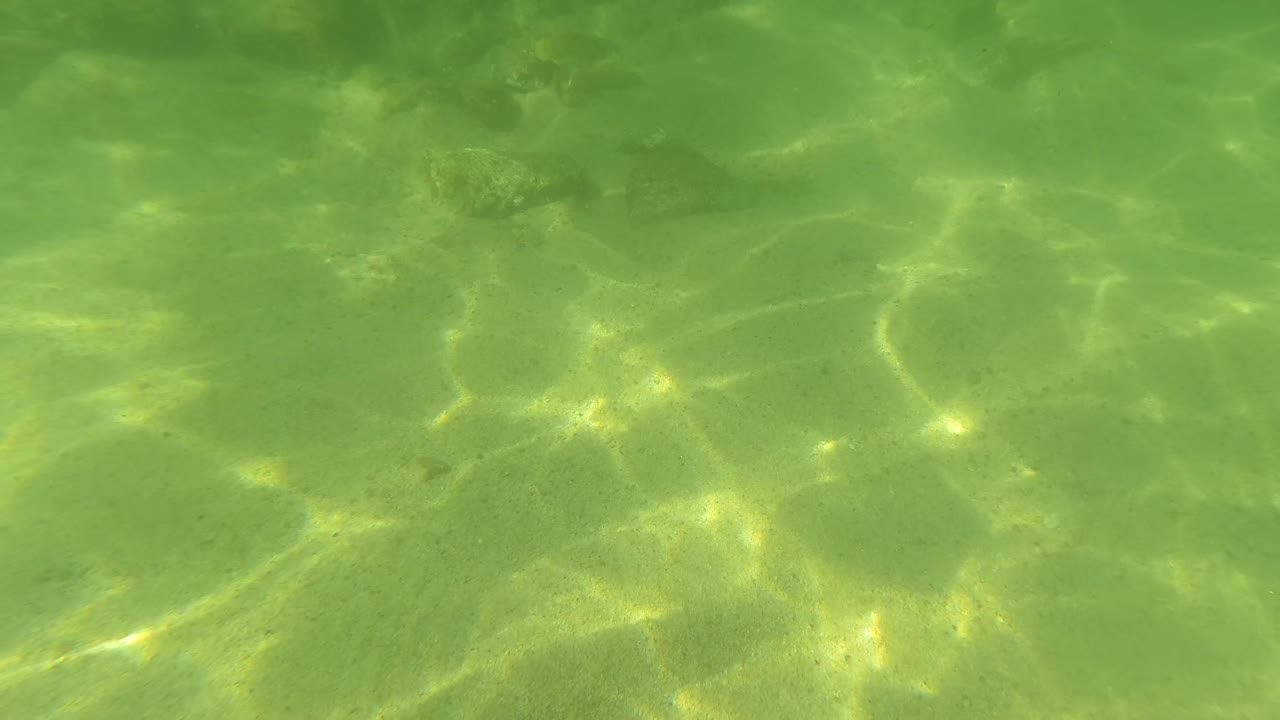 Opening frame of a sandy seabed under clear greenish water in San Jose Del Cabo, with bright caustic light patches and no visible people.