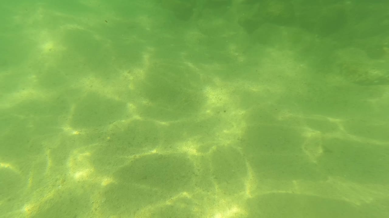 Dappled sunlight patterns on underwater sand