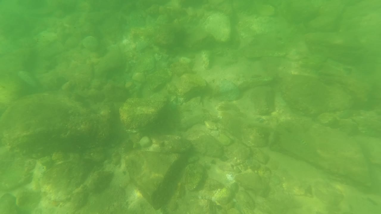 Green underwater view of rocks and pebbles with small fish