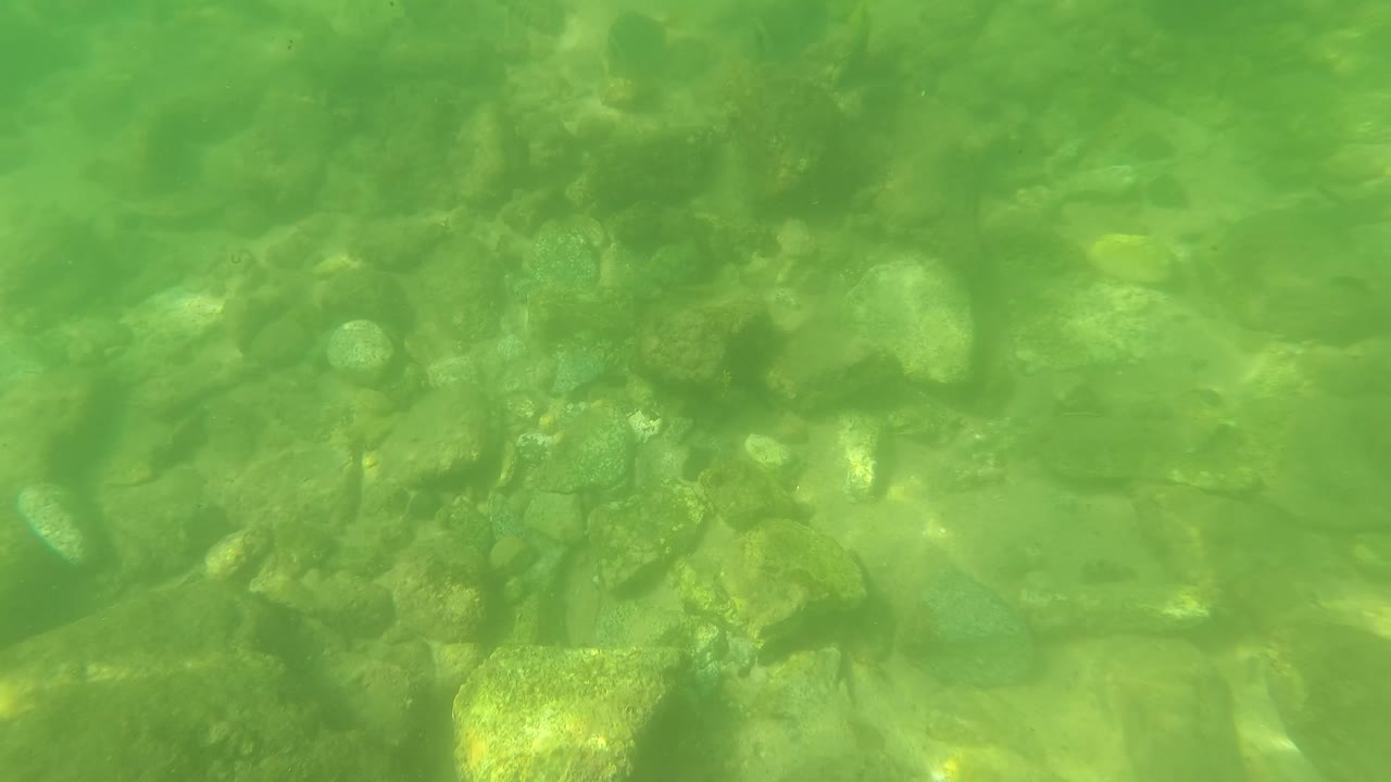 Underwater view in San Jose Del Cabo showing a dense patch of rounded rocks and pebbles beneath green-tinted water, with no visible people.