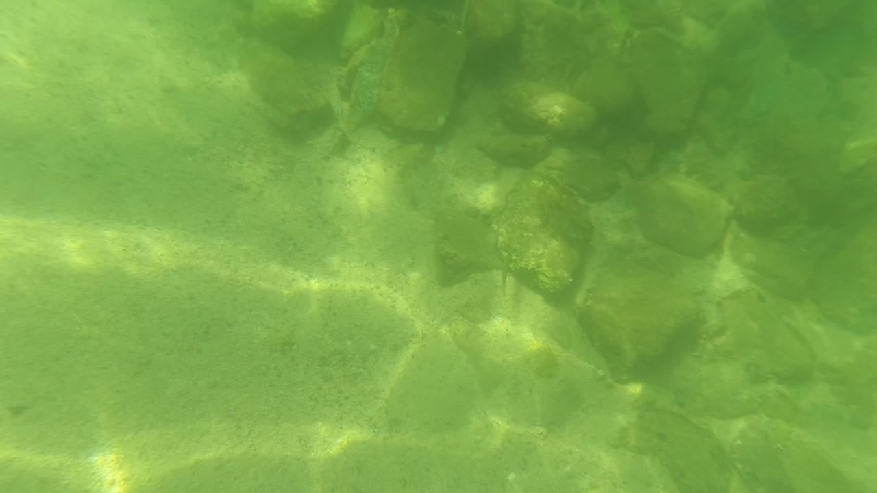 Underwater frame from San Jose del Cabo, Mexico, with larger rocks near the upper area, sandy bottom below, green water tint, and no visible people.