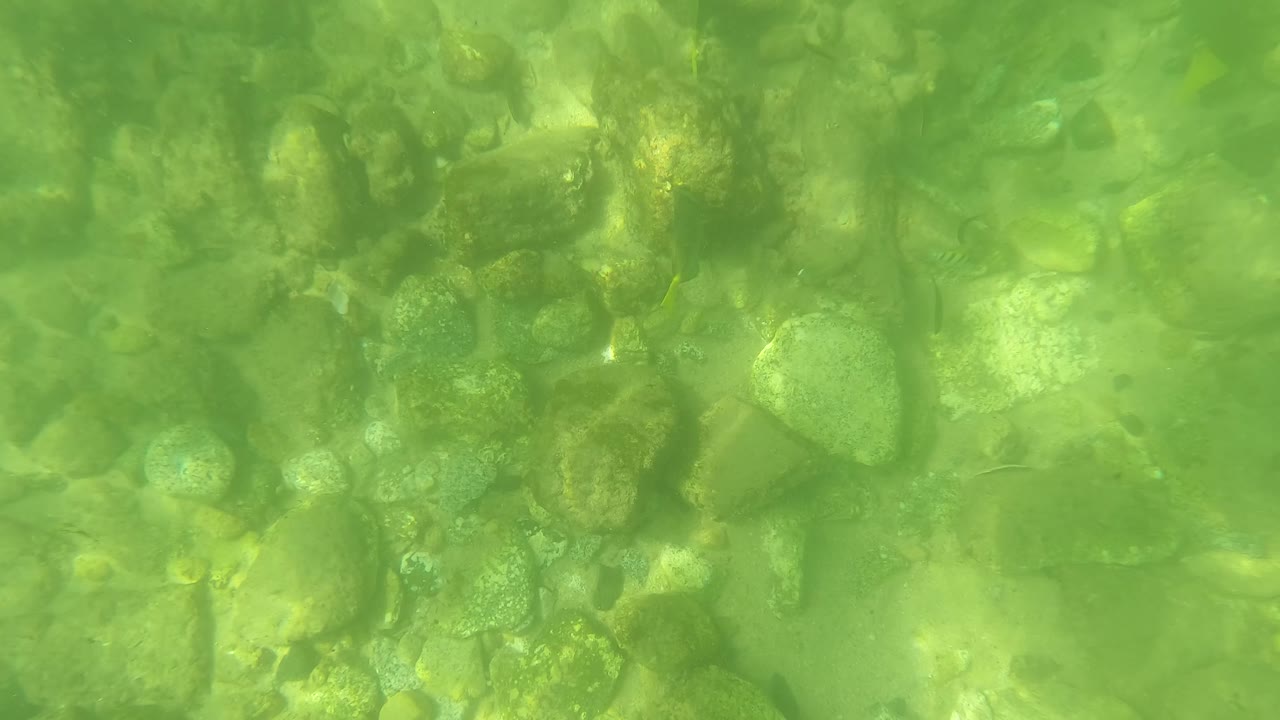 Opening underwater view in San Jose Del Cabo shows green-tinted clear water over smooth rocks and pebbles with no visible people.