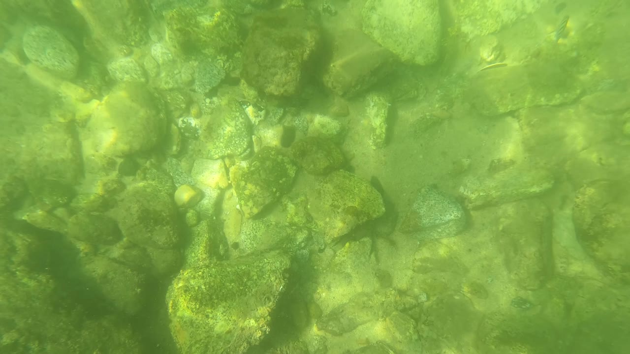 Underwater stones seen through green clear water.