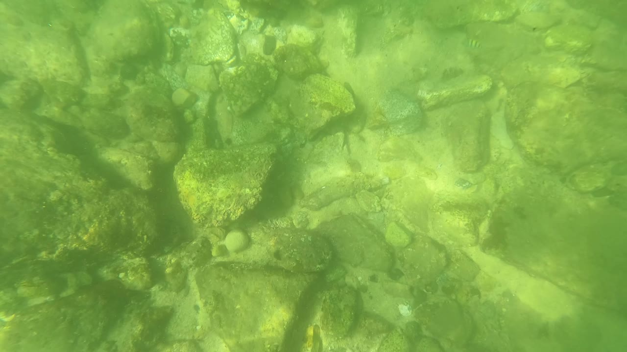 Mid-clip underwater frame shows rocks and pebbles in green water, with faint small fish shapes near the stones and no visible people.