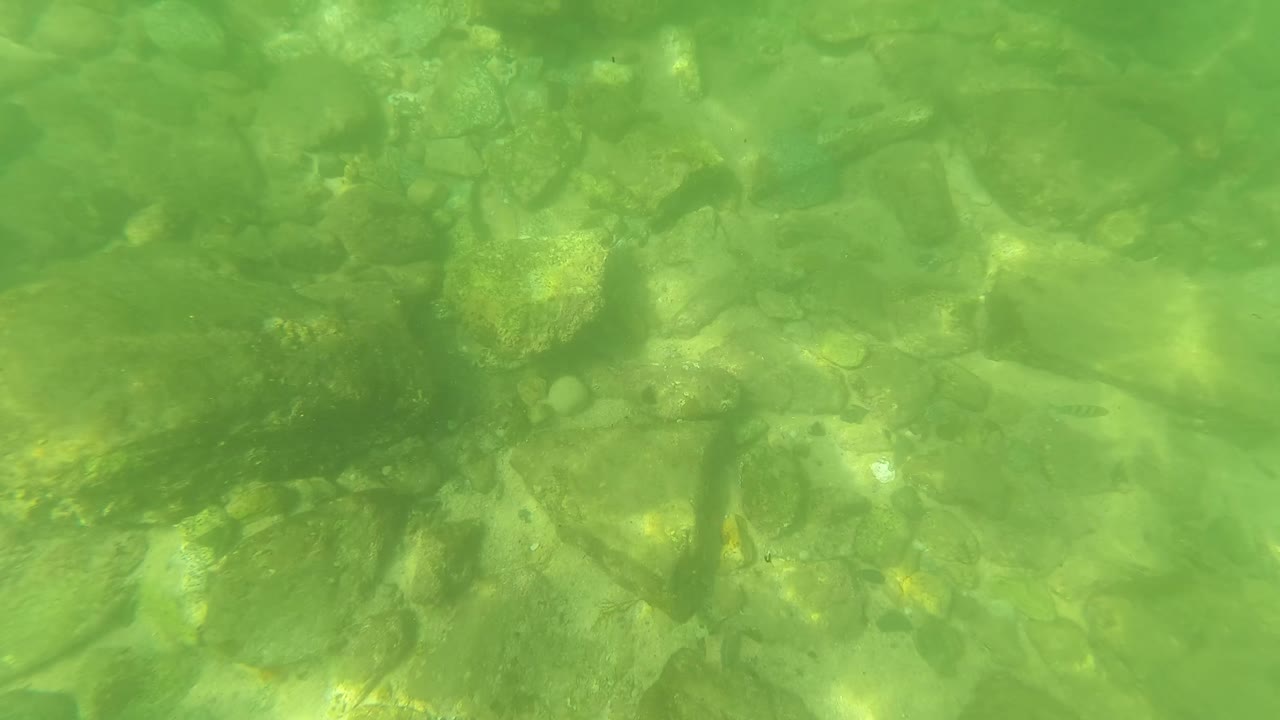 Opening underwater view of a green-tinted riverbed in San Jose Del Cabo, Baja California Sur, with mossy stones and no visible people.