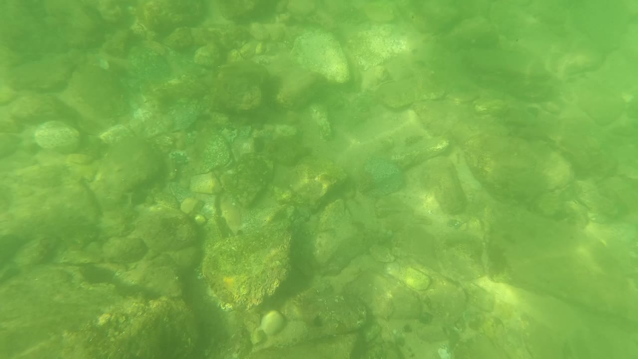Underwater frame from San Jose Del Cabo showing clear green water over rounded rocks, small pebbles, algae patches, and no visible people.