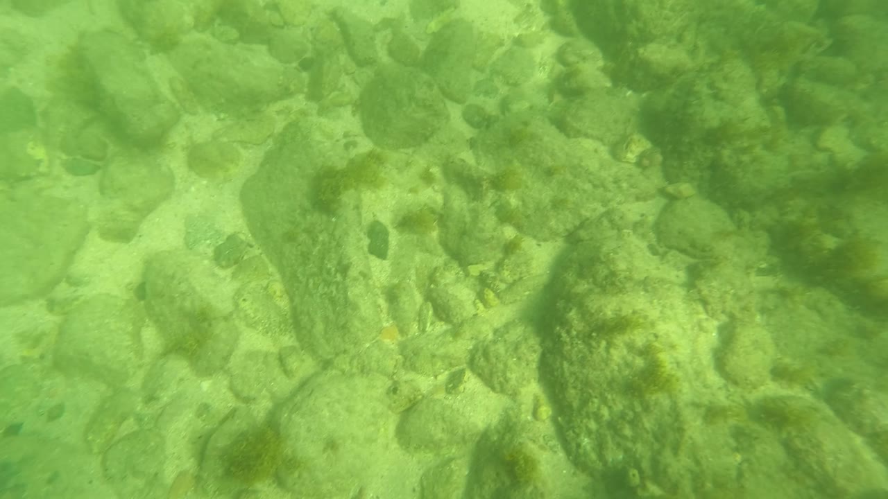 Green-tinted underwater view of a rocky seabed in San Jose del Cabo, Baja California Sur, Mexico, with algae patches, sandy gaps, suspended particles, and no visible people.