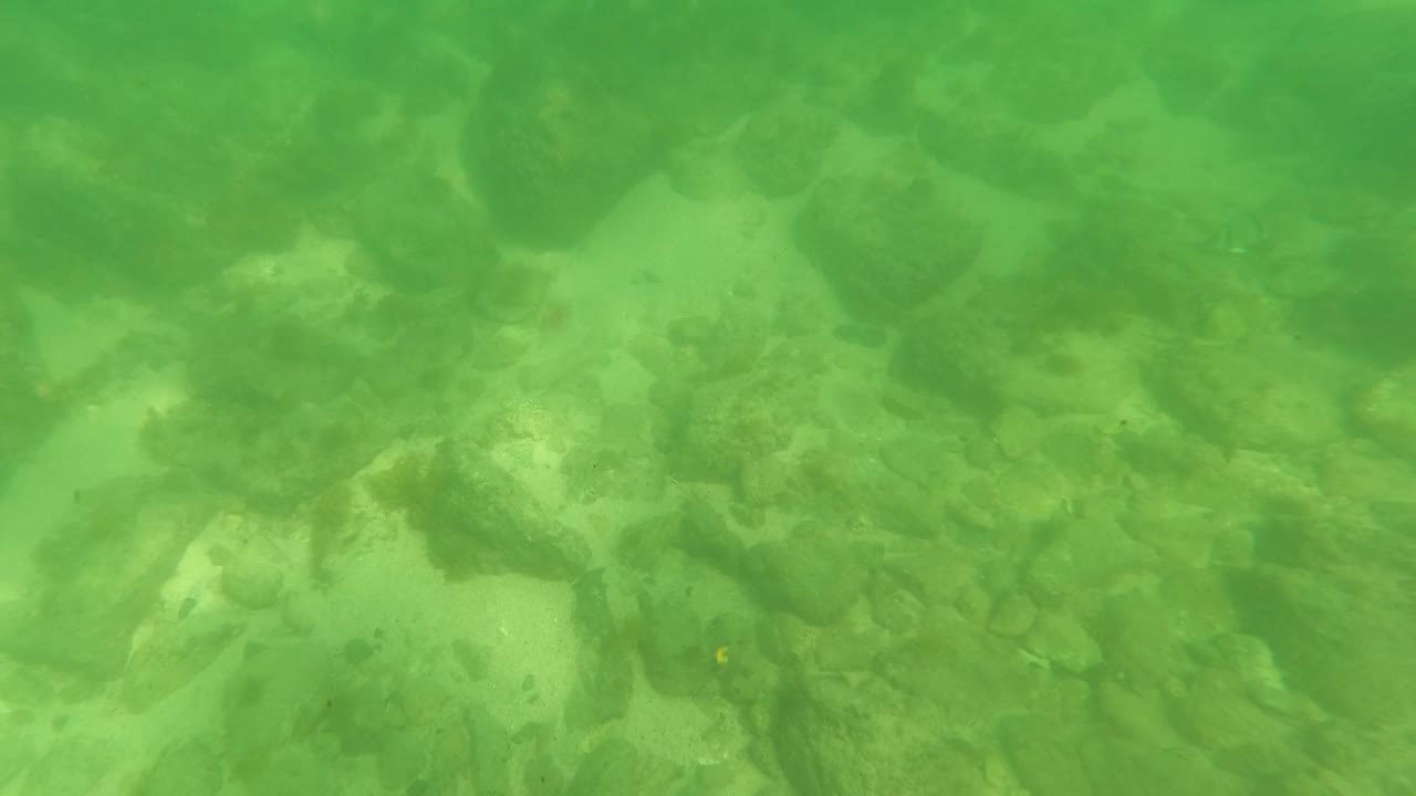 Green underwater frame from San Jose del Cabo showing uneven rocks across the seabed, darker algae areas, cloudy water, and no visible people.