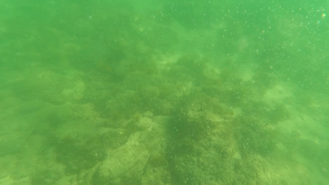 San Jose del Cabo underwater view with pale sand channels between rocks, green water cast, small suspended particles, and no visible people.