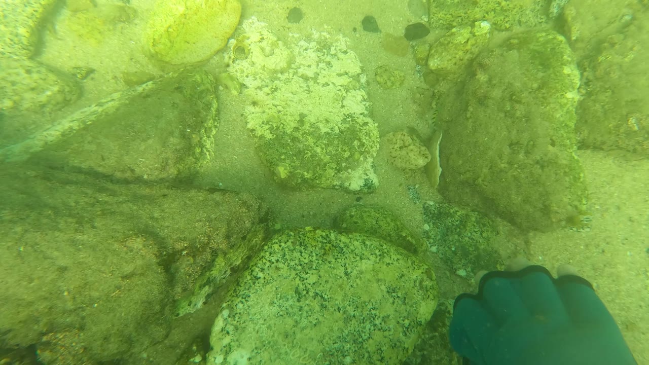 Blue gloved hand reaching toward submerged rocks.