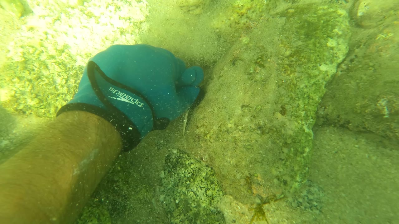 Gloved hand touching a large rock in green underwater light.