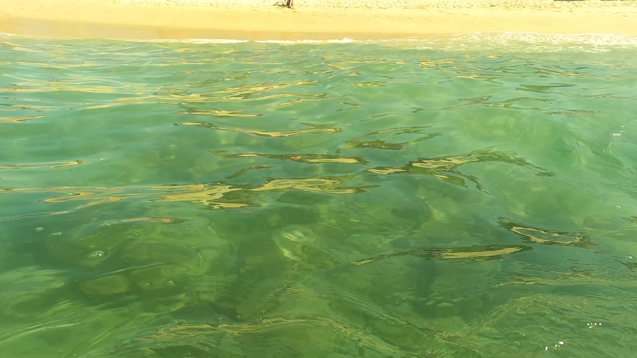 Green coastal water fills the frame in San Jose Del Cabo, with the sandy beach and small distant figures running along the upper edge.