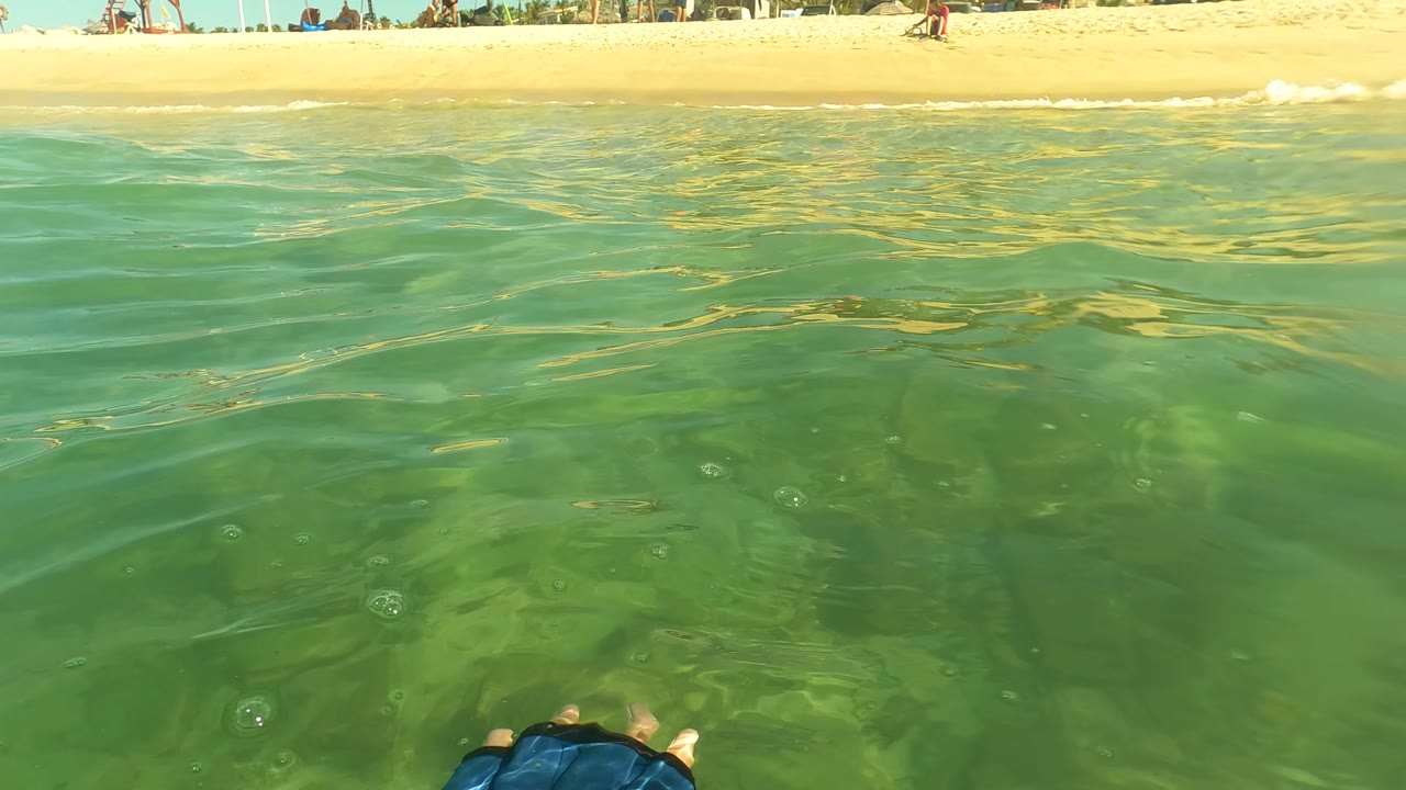At San Jose Del Cabo, sunlit green water stretches toward the beach while a blue swimmer hand covering enters from the lower right and small beachgoers remain visible in the distance.