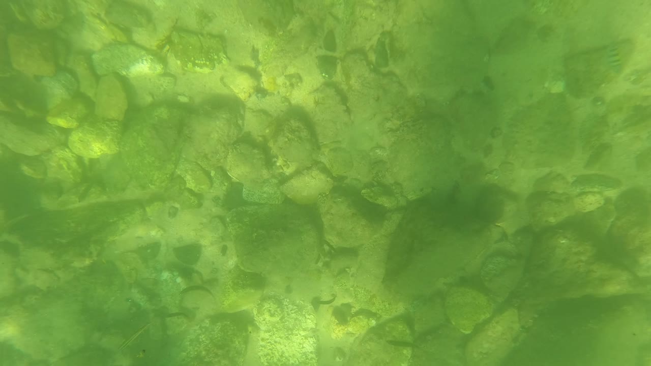 Underwater green water over rocks in San Jose del Cabo, Baja California Sur, with no visible people in this frame.
