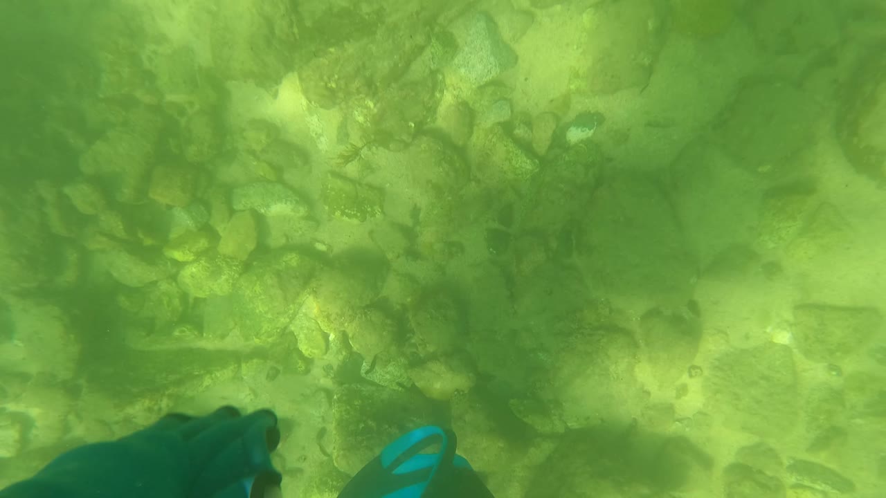 Snorkeler hand and blue fin entering green underwater frame