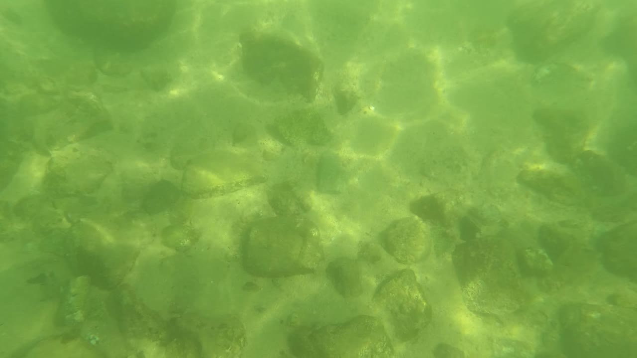 Underwater view in San Jose del Cabo showing green shallow water, sand, submerged rocks at left, and bright sunlight patterns with no visible people.