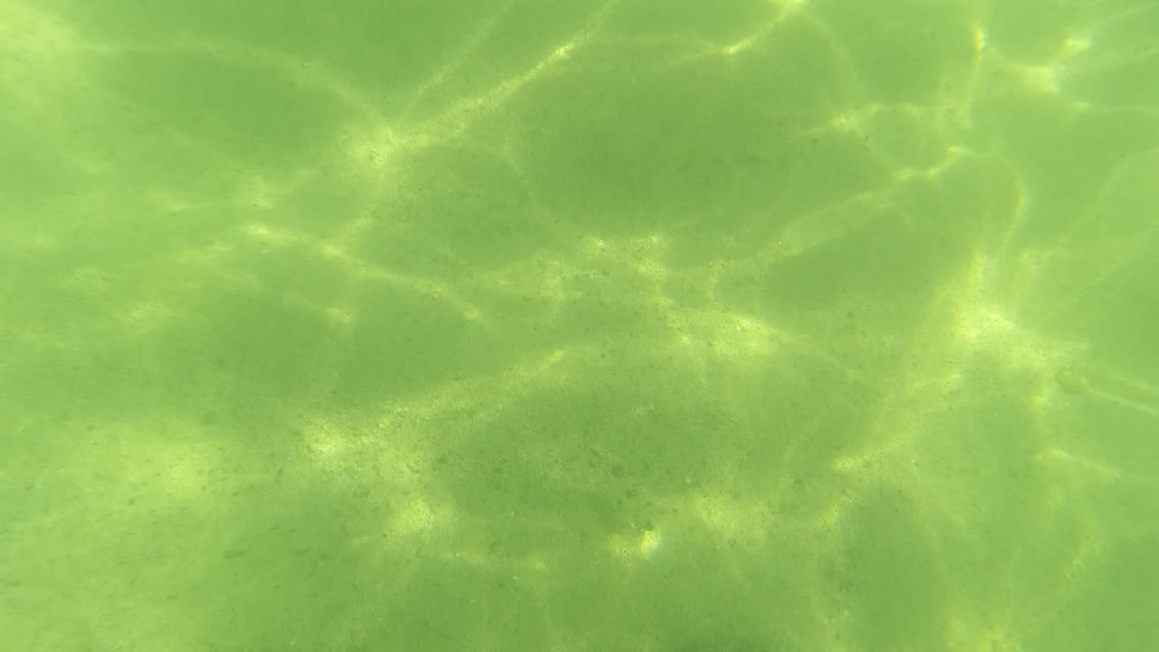 Underwater sand with bright rippling sunlight