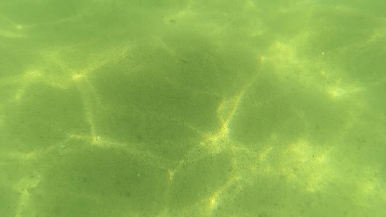 Green underwater view in San Jose del Cabo with a sandy bottom, muted rock forms, and scattered refracted sunlight, with no visible people.
