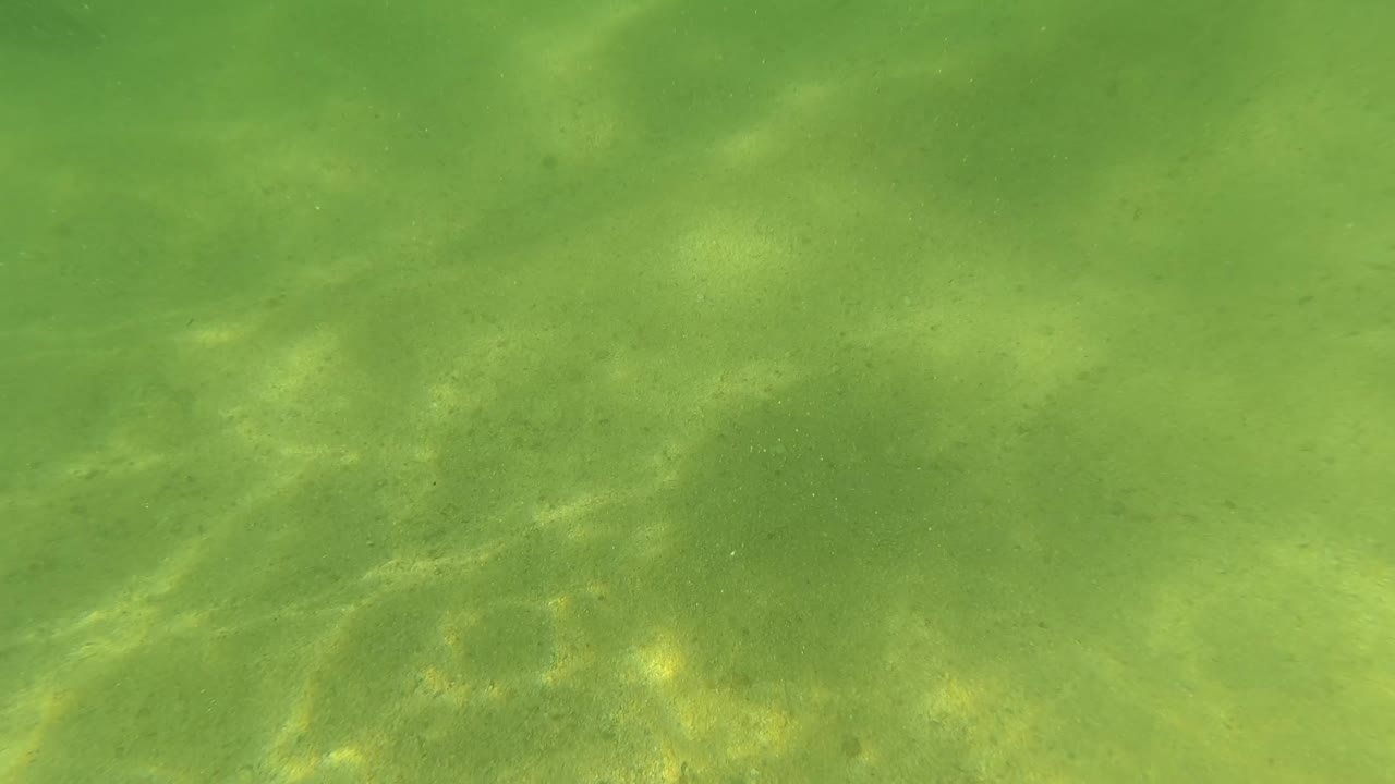 Early frame of the San Jose del Cabo underwater sandy ocean floor, green clear water, faint caustic light, and no visible people.