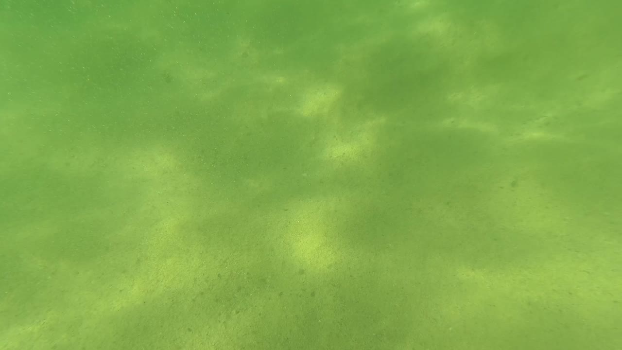 Sandy ocean floor under green water with brighter rippled light.