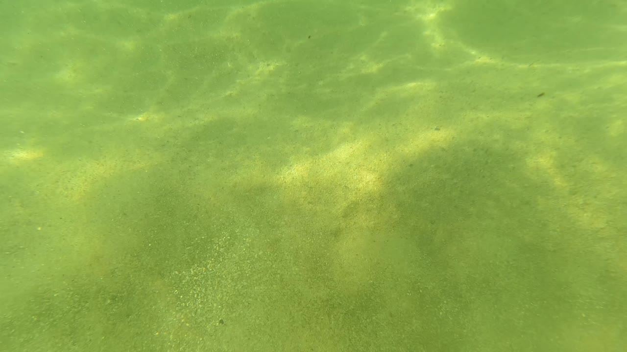 Mid-clip San Jose del Cabo underwater view with diffuse green water, sandy bottom, scattered light streaks, and no visible people.