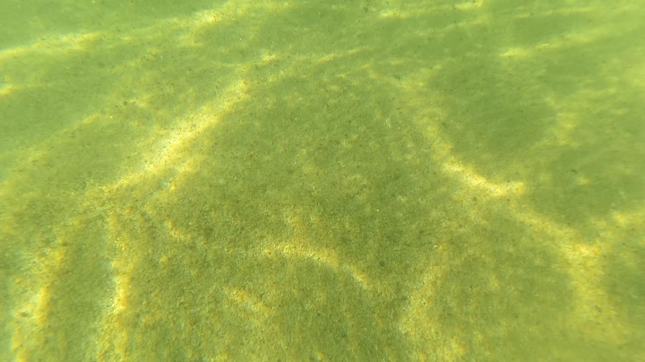Green underwater sandy seabed with caustic light patterns