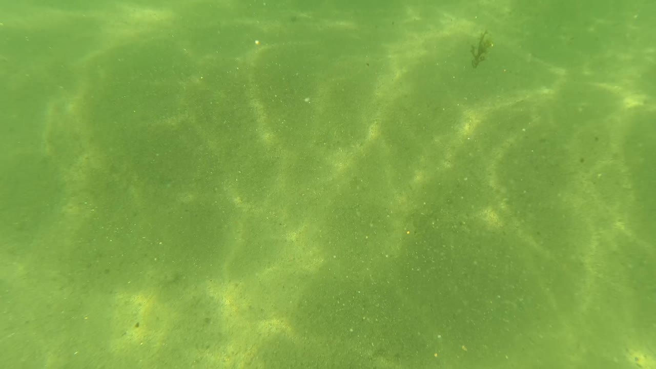 Underwater frame in San Jose Del Cabo showing green water over a sandy bottom with faint darker seabed patches and no visible people.