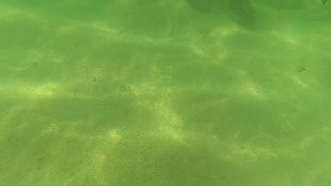 Green underwater view in San Jose Del Cabo with soft caustic highlights across the sandy bottom and no visible people.