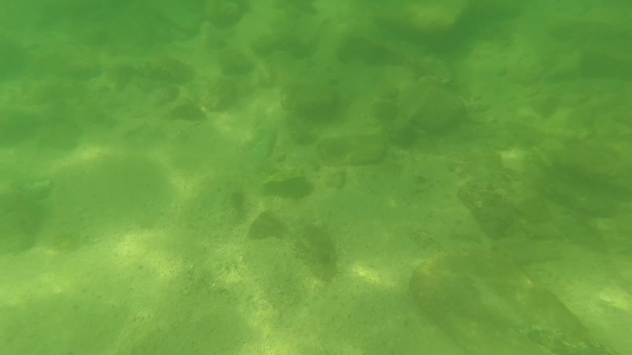 Blurred underwater frame from San Jose Del Cabo showing green water, darker rocky seabed areas, and no visible people.