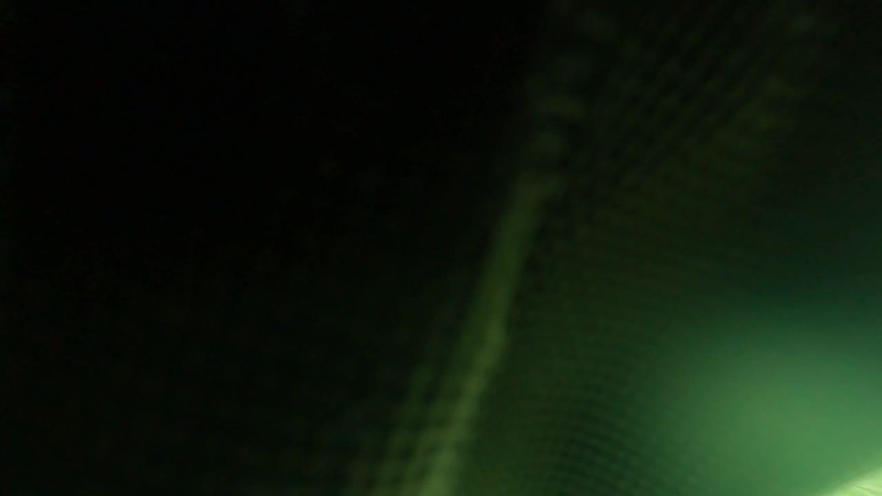 Dark underwater mesh close to the lens with green water beyond it